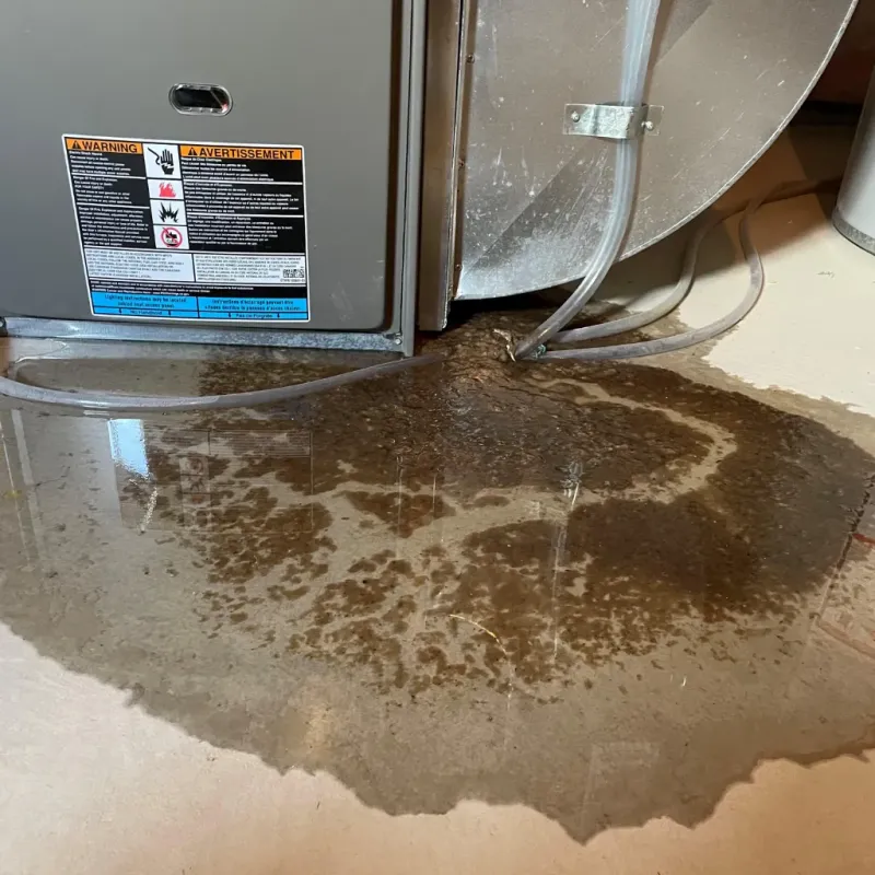 Appliance Leak Cleanup in Cotton County, OK